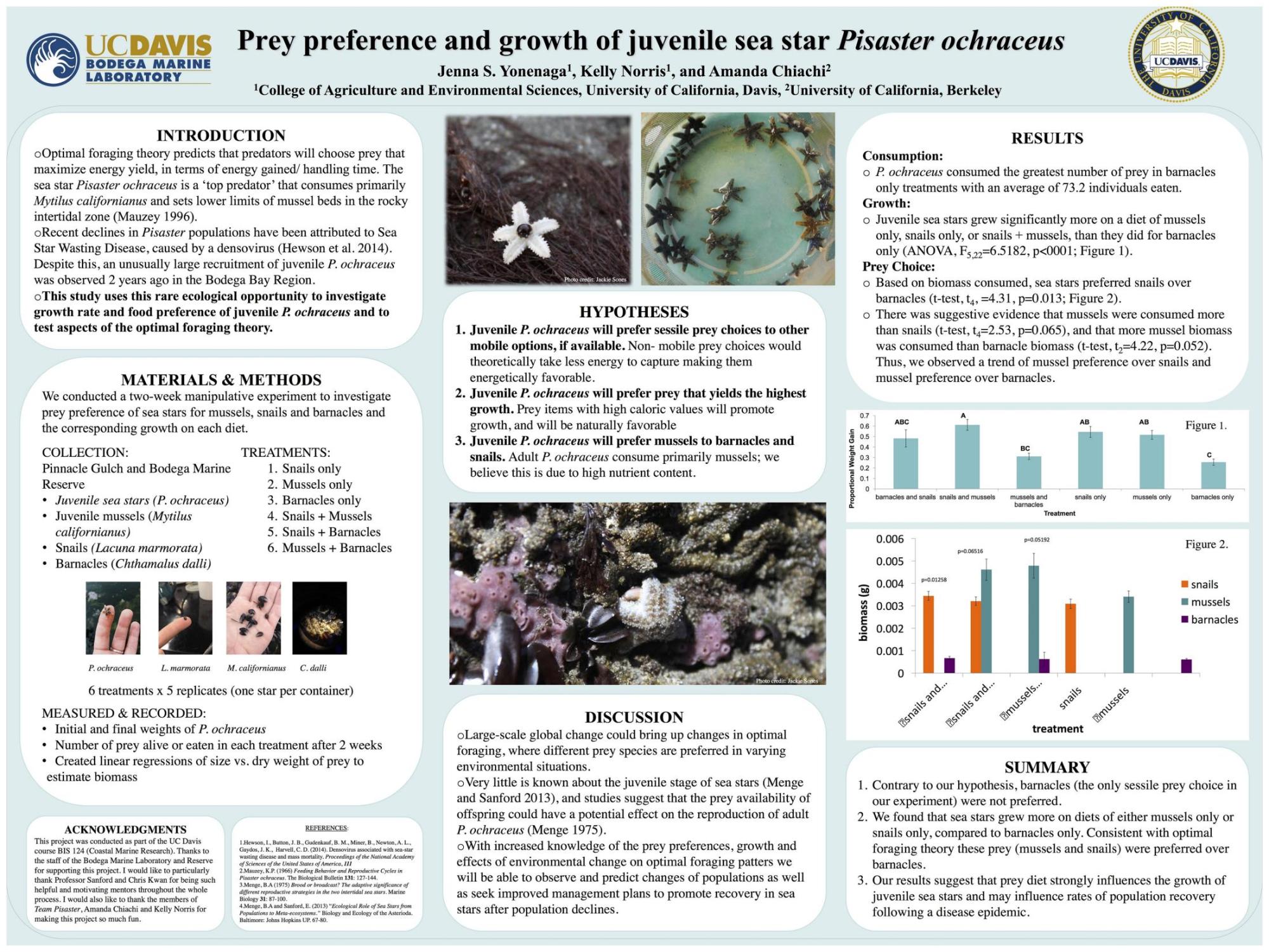 Undergraduate research center uc davis academic posters
